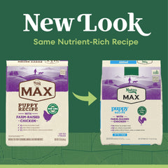 Nutro MAX Puppy Recipe ingredients highlight real farm-raised chicken for puppies