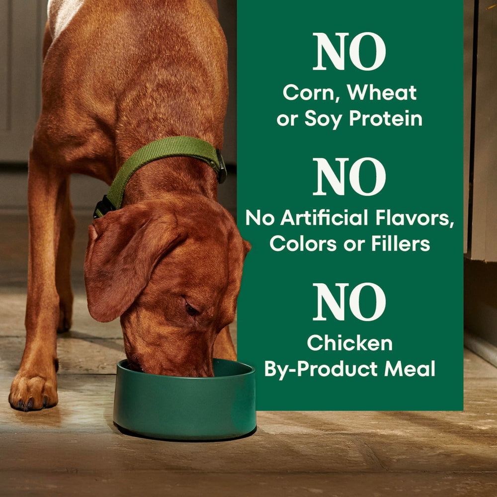 Nutro Natural Choice bag highlights non-GMO ingredients.