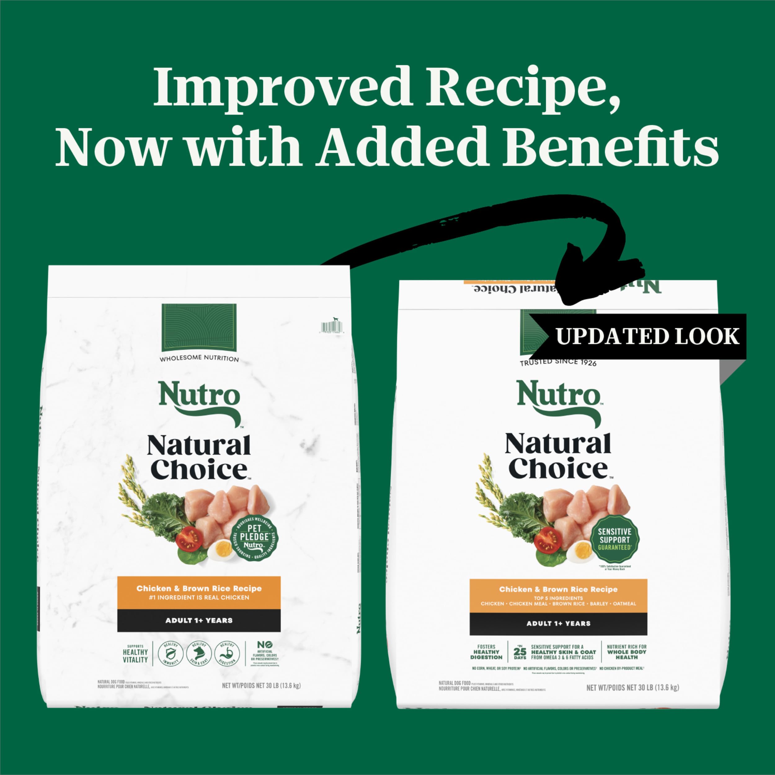 Nutro kibble close-up showing grain mix for balanced energy