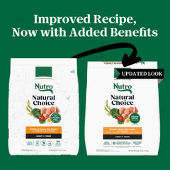 Nutro kibble close-up showing grain mix for balanced energy