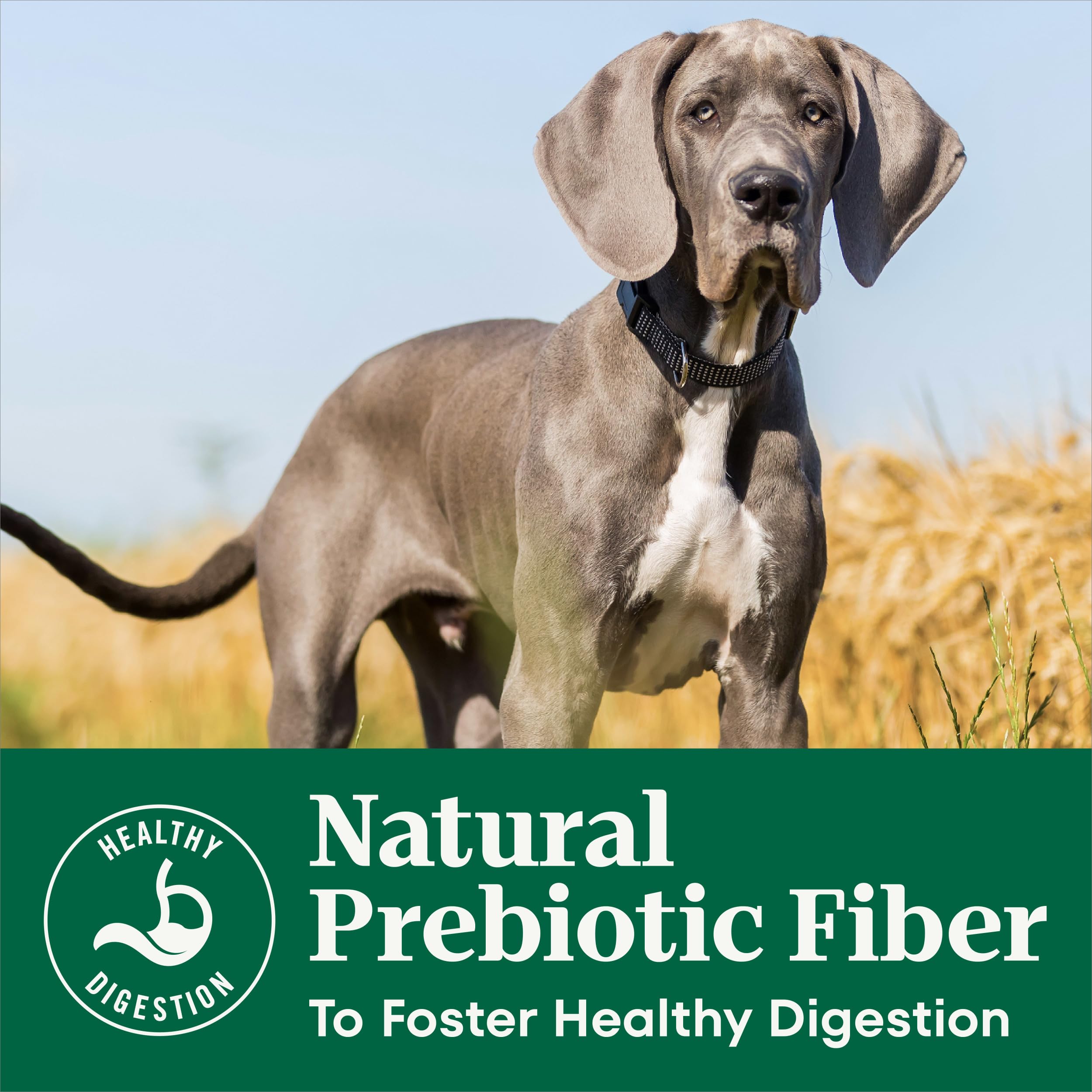 Nutro Natural Choice dry dog food bags stacked, premium quality and USA origin.