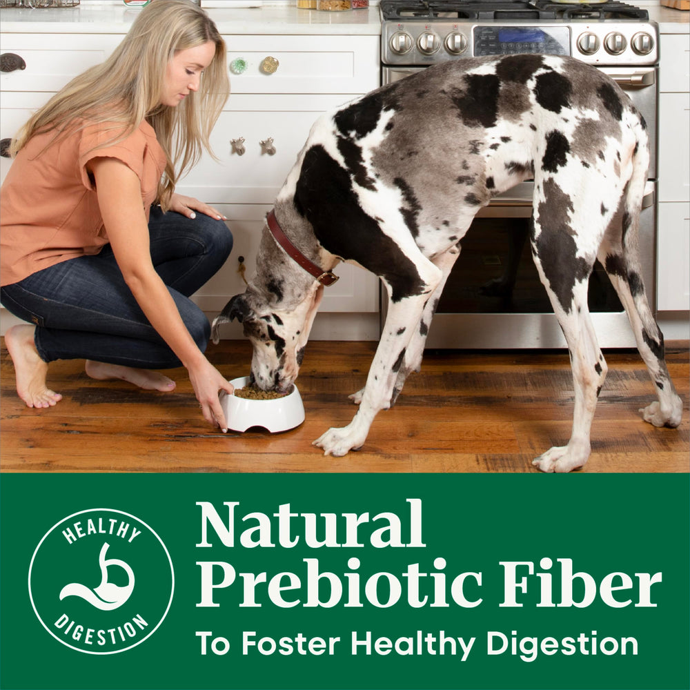 Nutro kibble texture close-up signaling crunch and vitality.