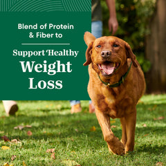 Nutro Natural Choice Large Breed Healthy Weight packaging highlights chicken as primary protein