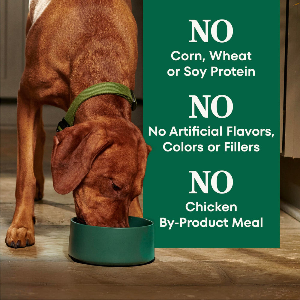 Nutro Natural Choice Large Breed Healthy Weight highlights omega fatty acids for skin and coat