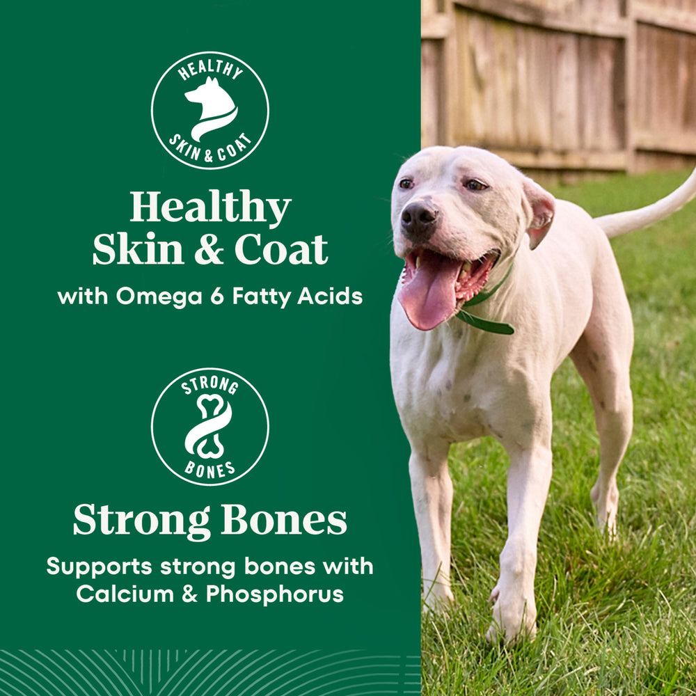 Nutro Natural Choice Large Breed Healthy Weight carton emphasizes oven-dried batch processing