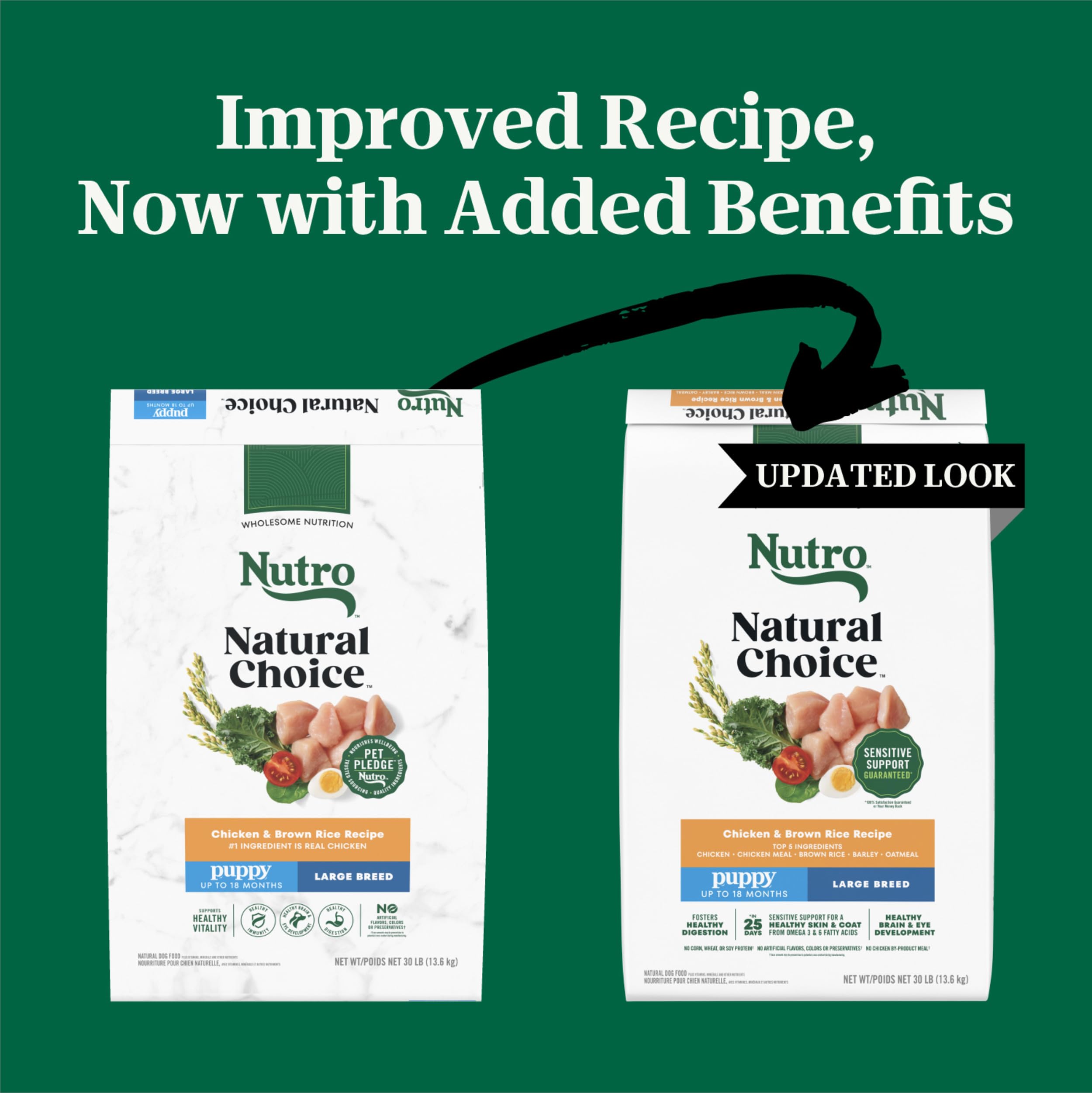 Nutro Natural Choice large-breed puppy dry chicken brown rice bowl shows convenient mealtime for puppies.