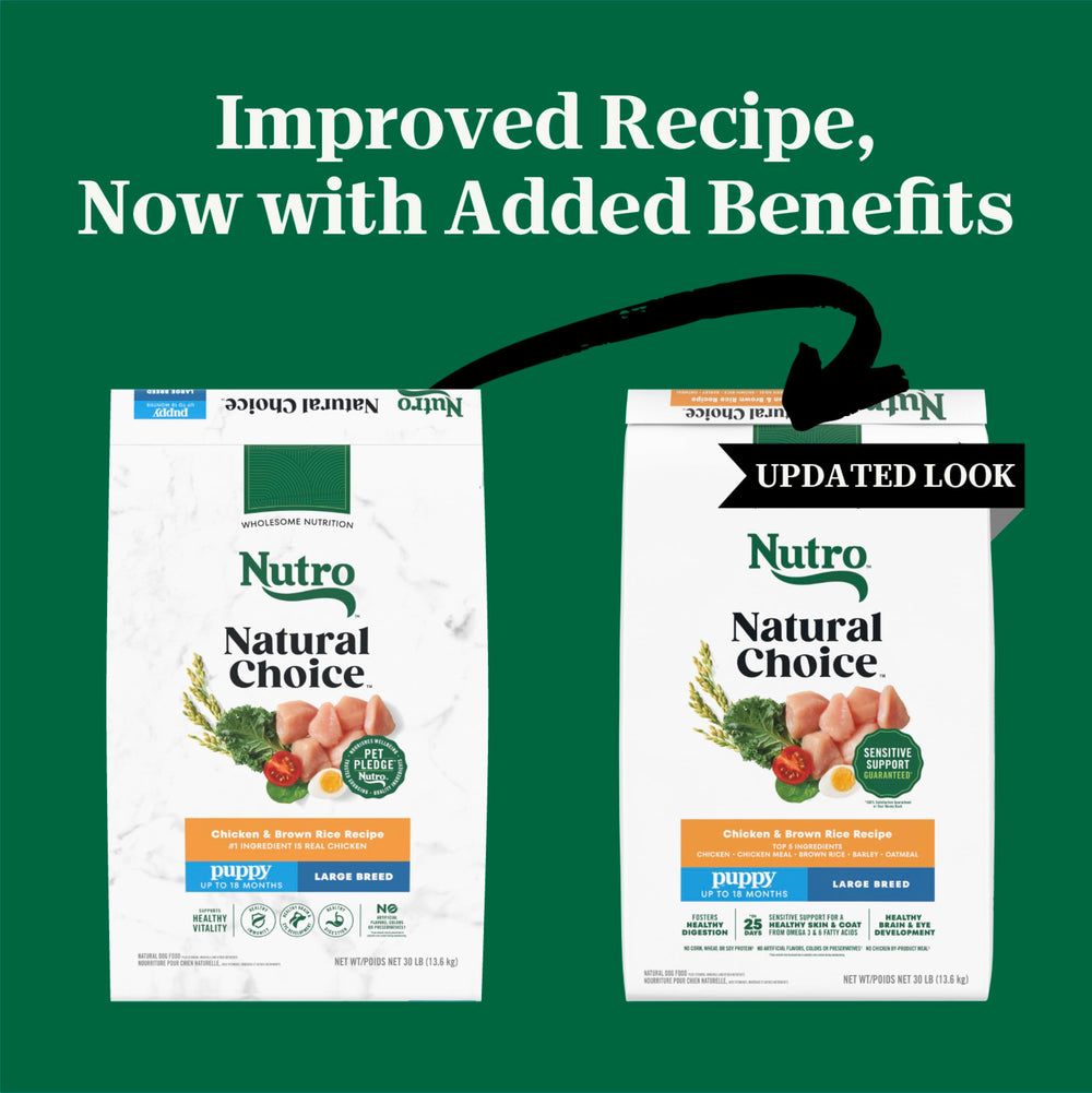 Nutro Natural Choice large-breed puppy dry chicken brown rice bowl shows convenient mealtime for puppies.