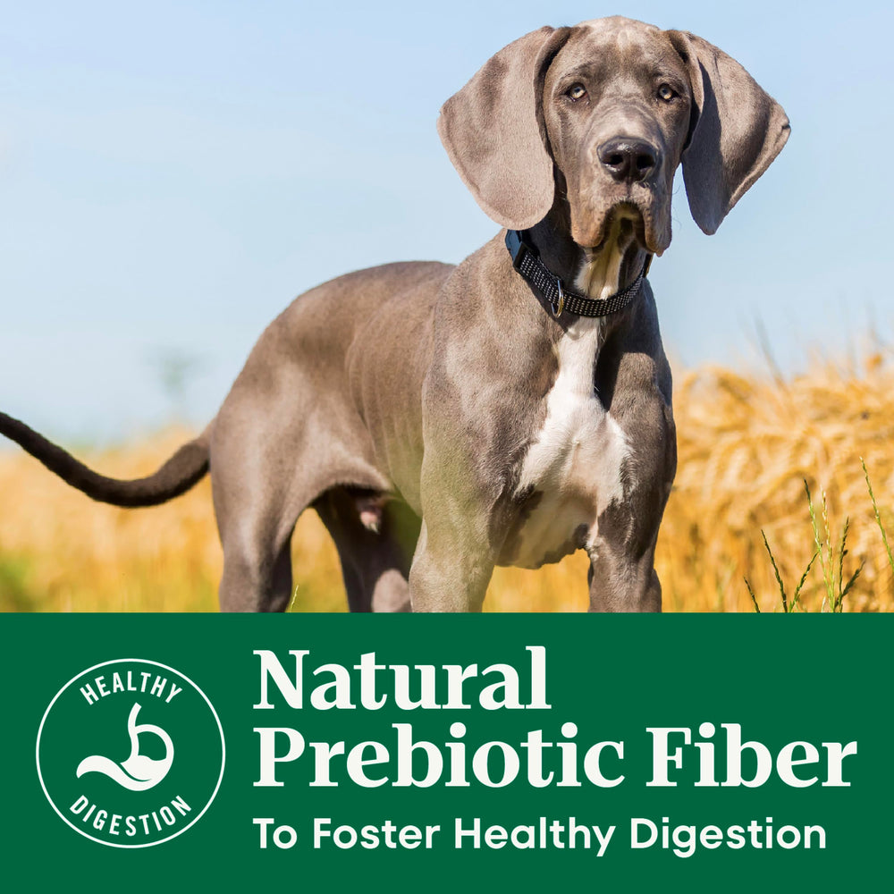 Nutro Natural Choice large-breed puppy dry chicken brown rice ingredient-panel emphasizes transparency.