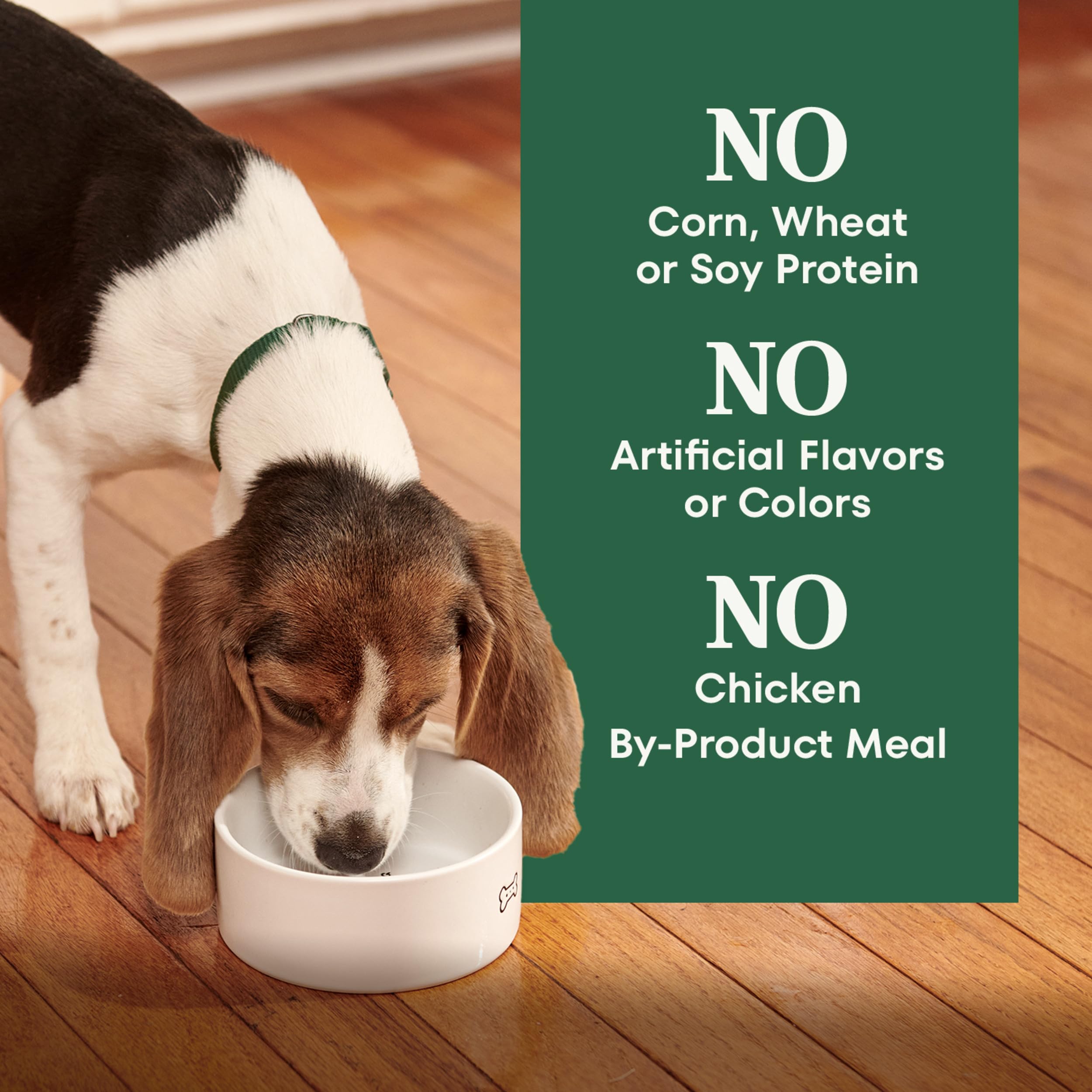 Nutro Natural Choice large-breed puppy dry chicken brown rice packaging communicates value and freshness.