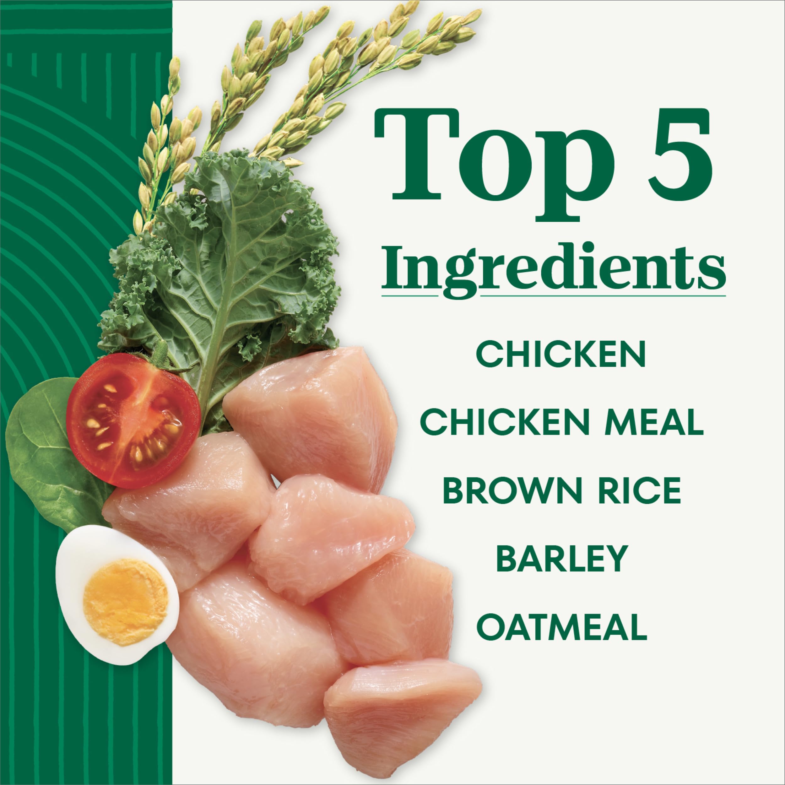 Nutro Natural Choice large-breed puppy dry chicken brown rice serving illustrates nutritious feeding.