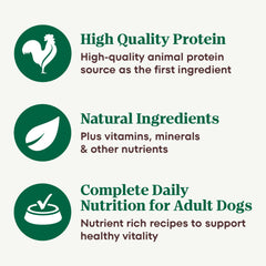 Nutro Lamb Loaf served in a bowl for adult dogs Mealtimes