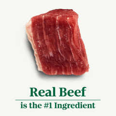 Nutro Beef Loaf can label highlights grain-free recipe and real beef