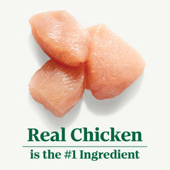 Nutro Natural Choice Loaf chicken in bowl, appetizing real chicken dinner.