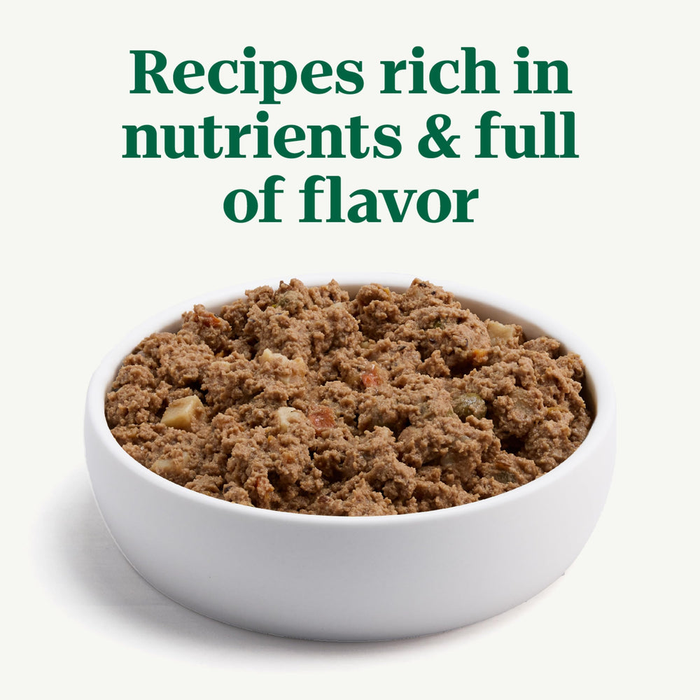 Nutro Natural Choice Loaf chicken serving, ready-to-serve wet dog dinner.
