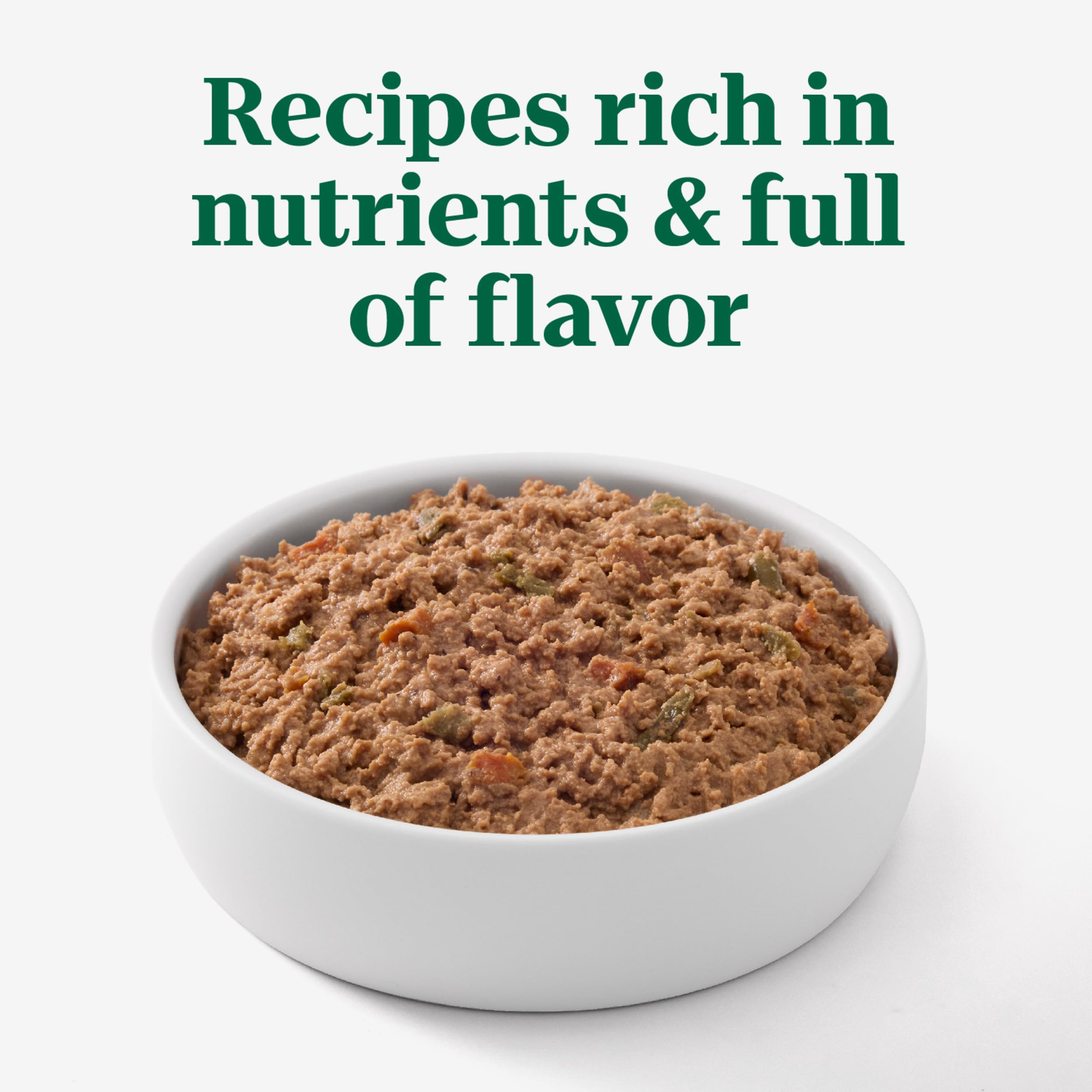 Nutro Natural Choice Loaf Turkey served in a bowl for dog meal.