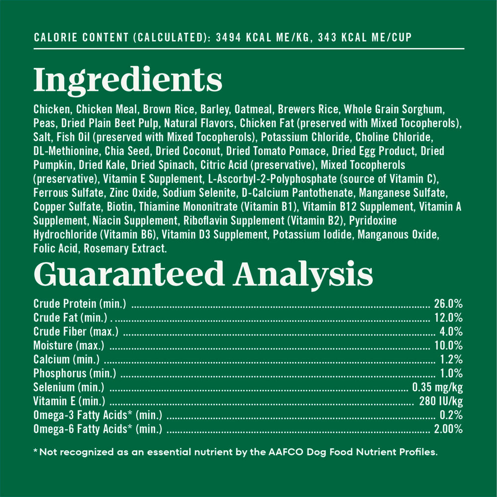 Serving kibble into a bowl demonstrates portion-friendly senior chicken recipe.