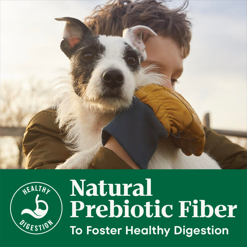 Nutro senior formula contains no artificial flavors or preservatives for clean nutrition.