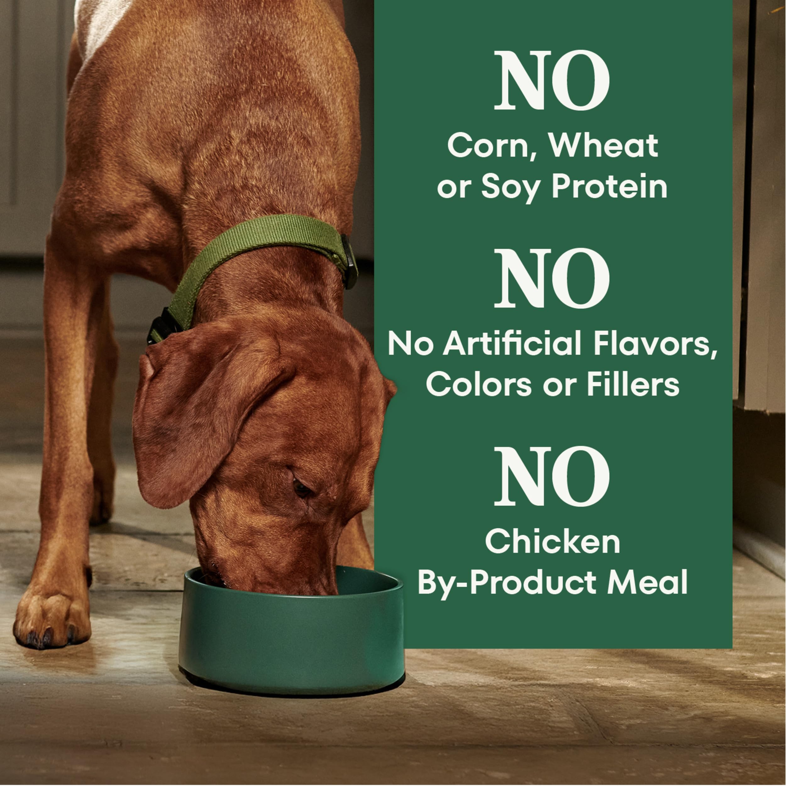 Non-GMO Nutro ingredients for seniors, avoiding soy, wheat, corn, and by-products.