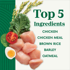 Nutro Natural Choice manufacturing in USA facilities emphasizes quality ingredients.