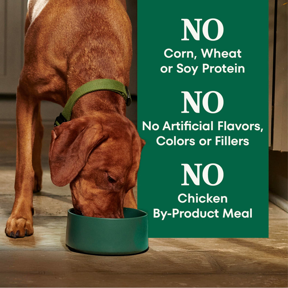 Nutro natural-choice senior dog food no by-product visual emphasis