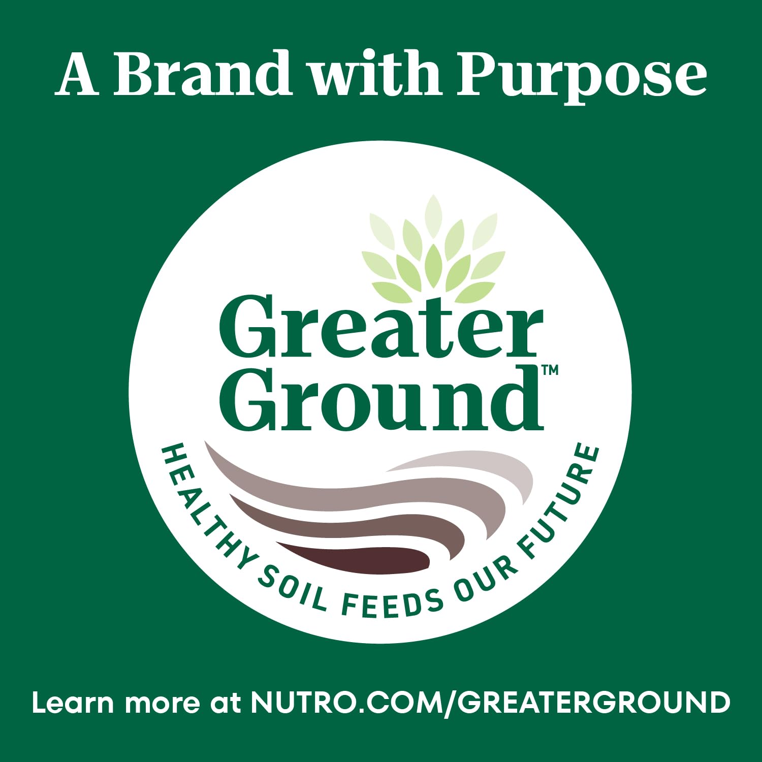 No artificial flavors or preservatives on Nutro senior cat food packaging