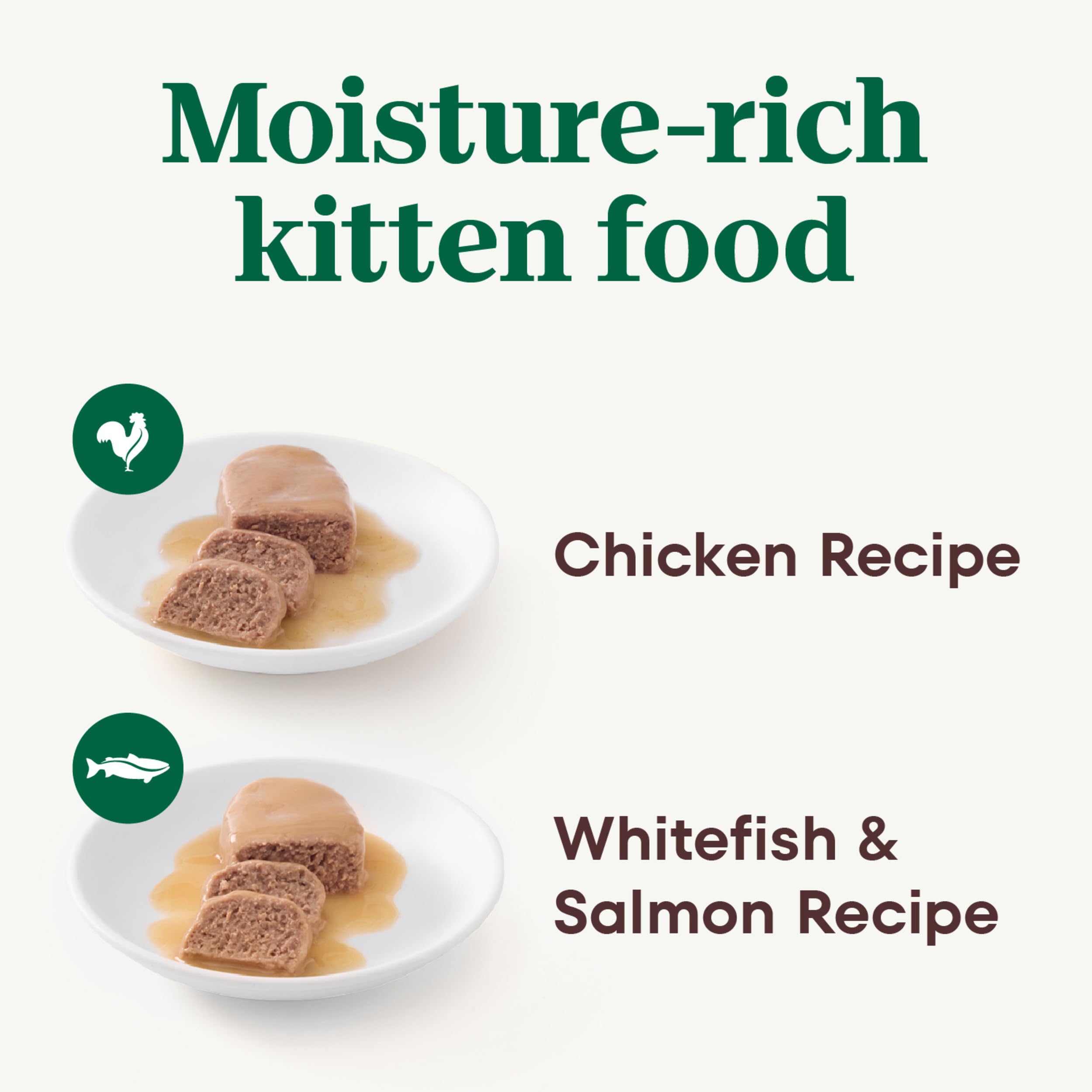 Closeup of Nutro kitten pate chicken recipe texture and smooth paste.