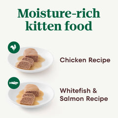Closeup of Nutro kitten pate chicken recipe texture and smooth paste.