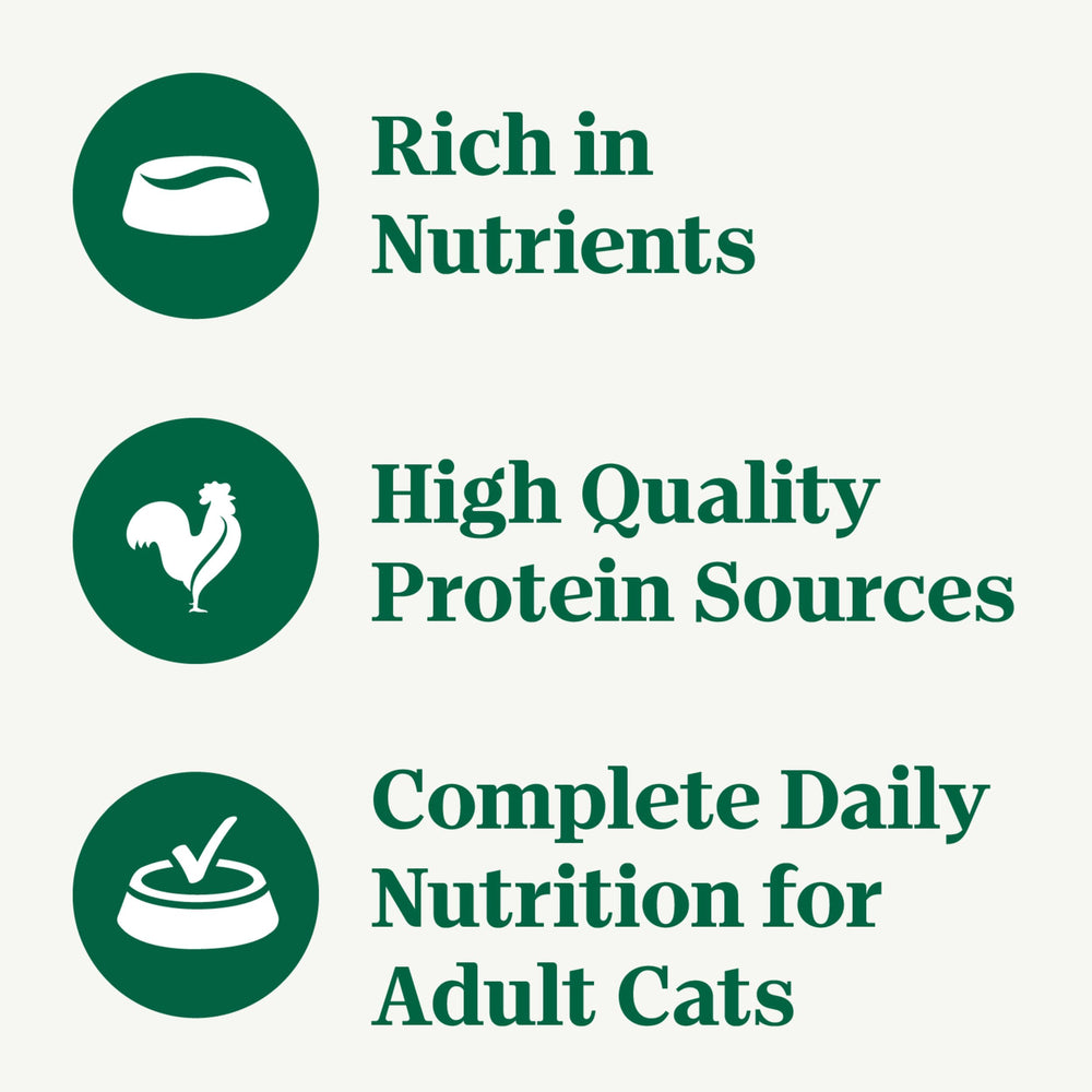 Nutro Perfect Portions wet cat food chicken gravy bowl image highlights moisture-rich meal