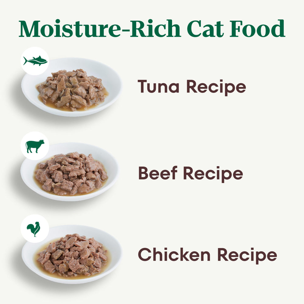 Nutro Perfect Portions chicken cuts in gravy—grain-free adult cat meal.