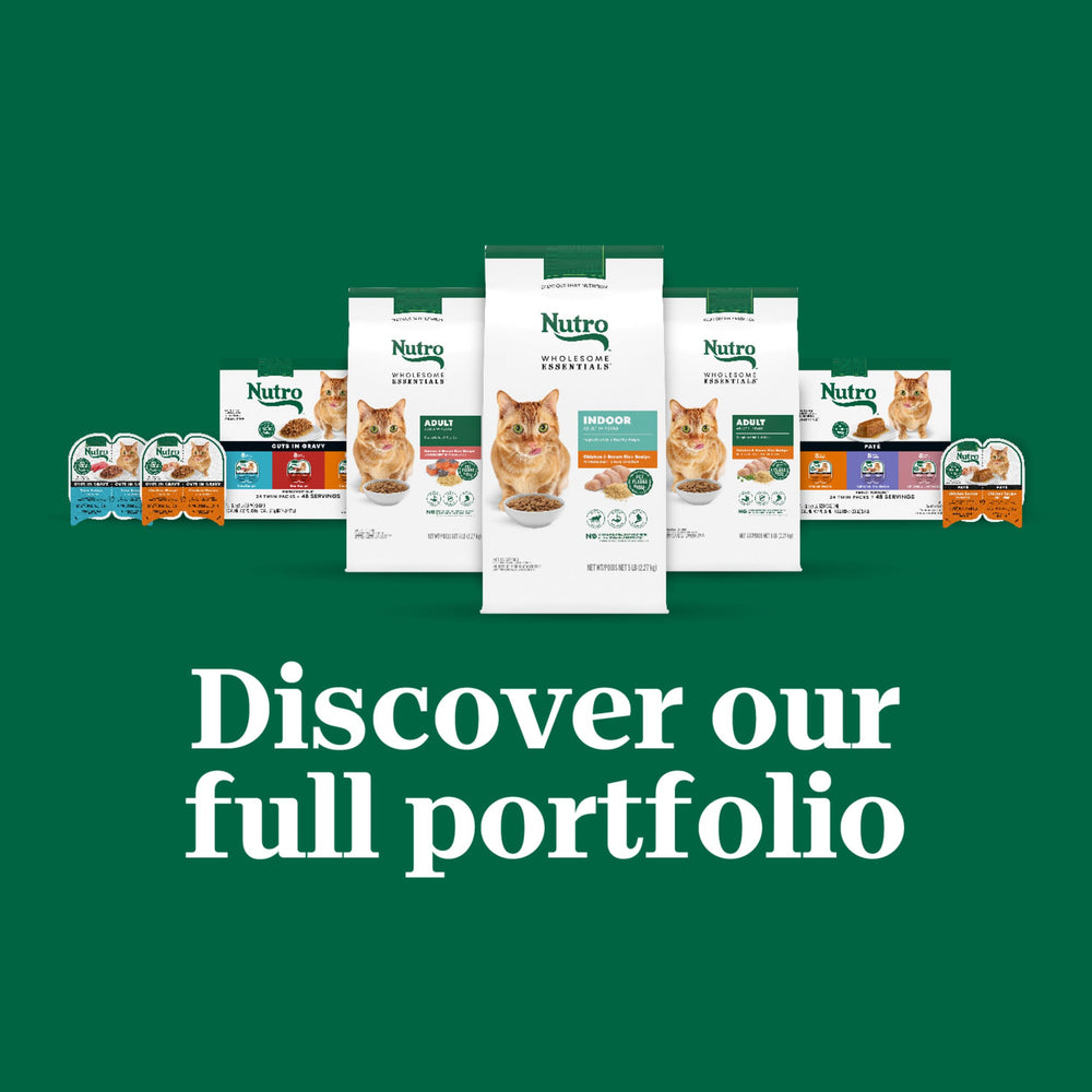 Nutro Perfect Portions pate with real chicken and liver supports adult cats during mealtime.