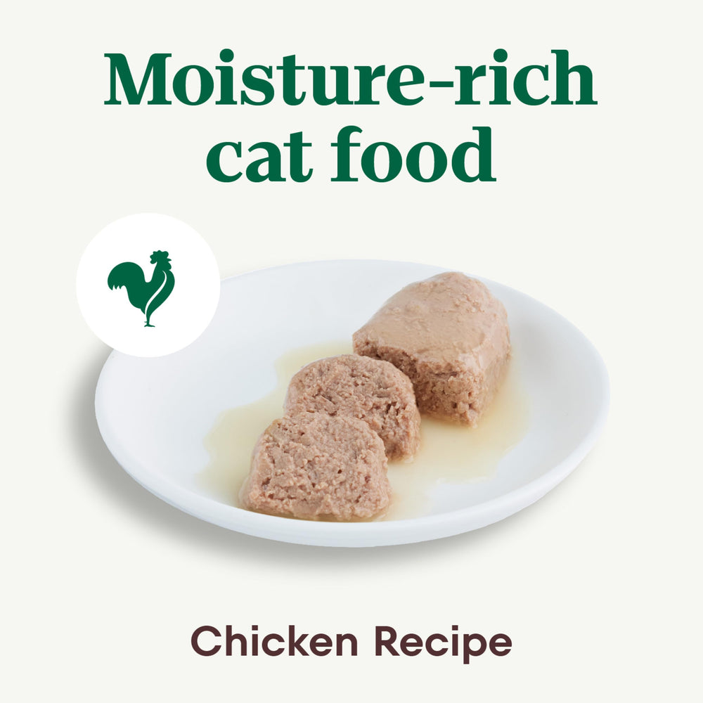 Nutro Perfect Portions cat wet food pate twin-pack trays support convenient daily feeding.