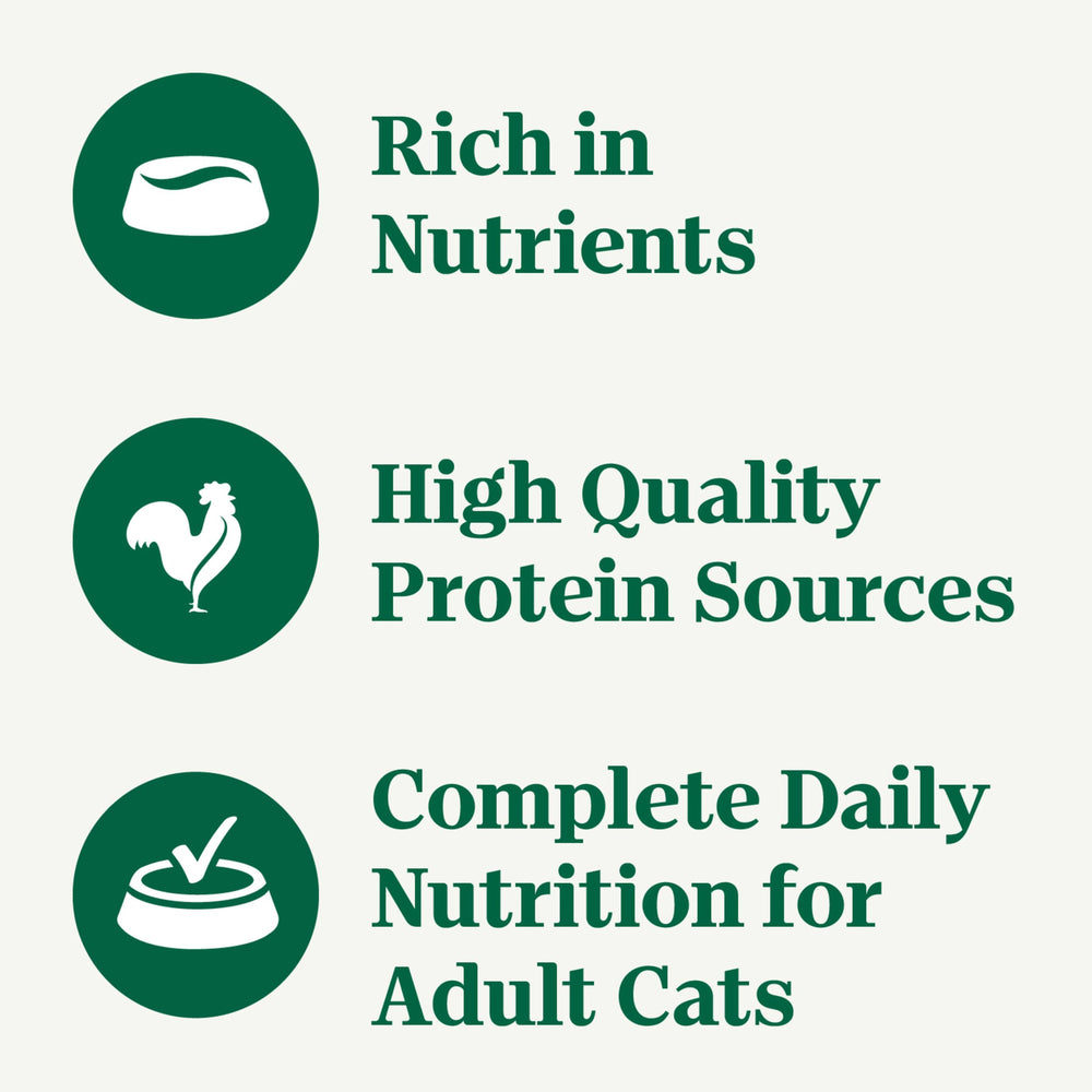 Nutro Perfect Portions Pate Salmon and Chicken tray—adult cat meal in grain-free formula.