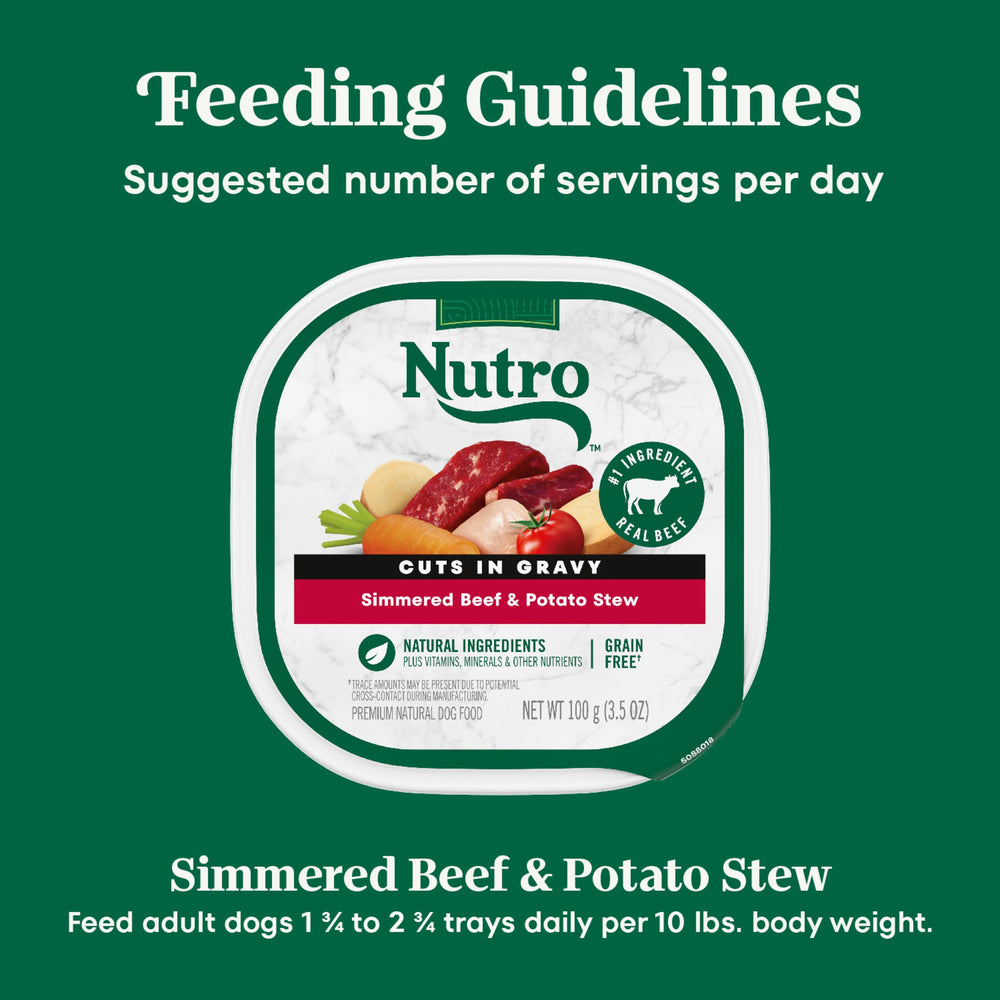 Nutro pet-mealtime-scene dog enjoying wholesome dinner