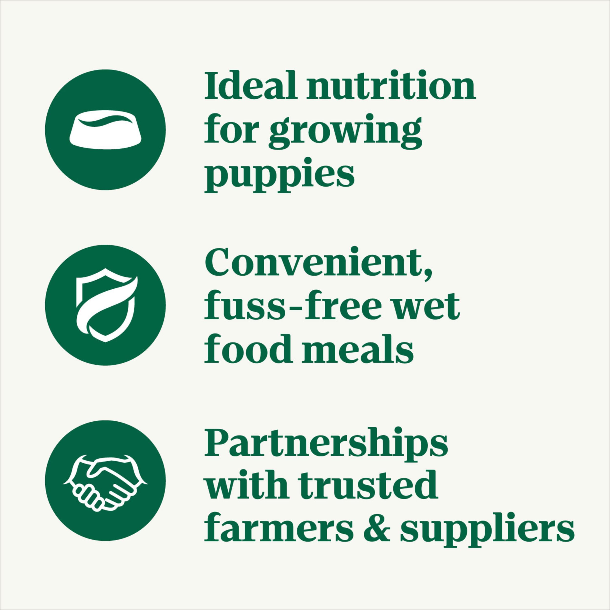Nutro Puppy Grain Free Wet Food in Gravy tray, grain-free and protein-rich.