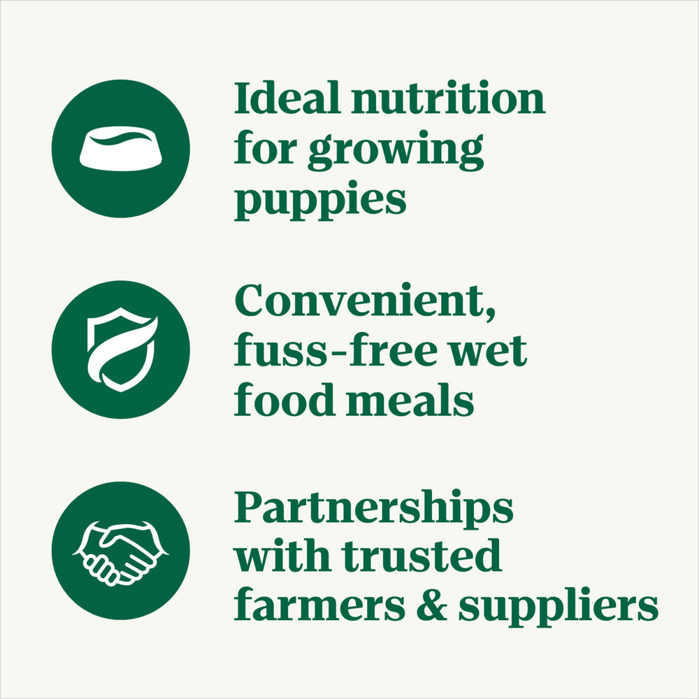 Nutro Puppy Grain Free Wet Food in Gravy tray, grain-free and protein-rich.