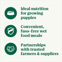 Nutro Puppy Grain Free Wet Food in Gravy tray, grain-free and protein-rich.
