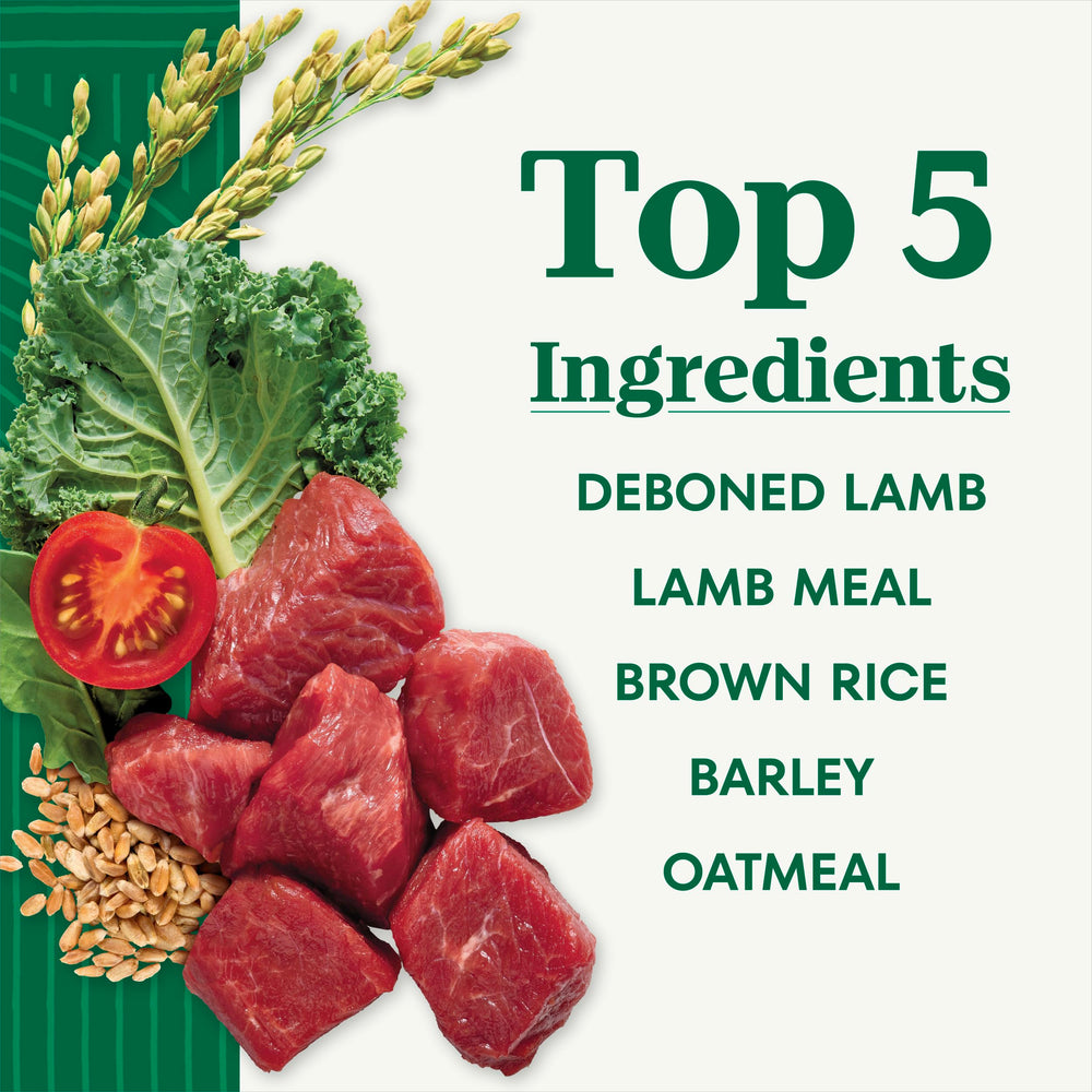 Nutro senior dog food real lamb ingredient close-up highlighting primary protein