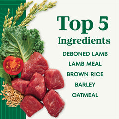 Nutro senior dog food real lamb ingredient close-up highlighting primary protein