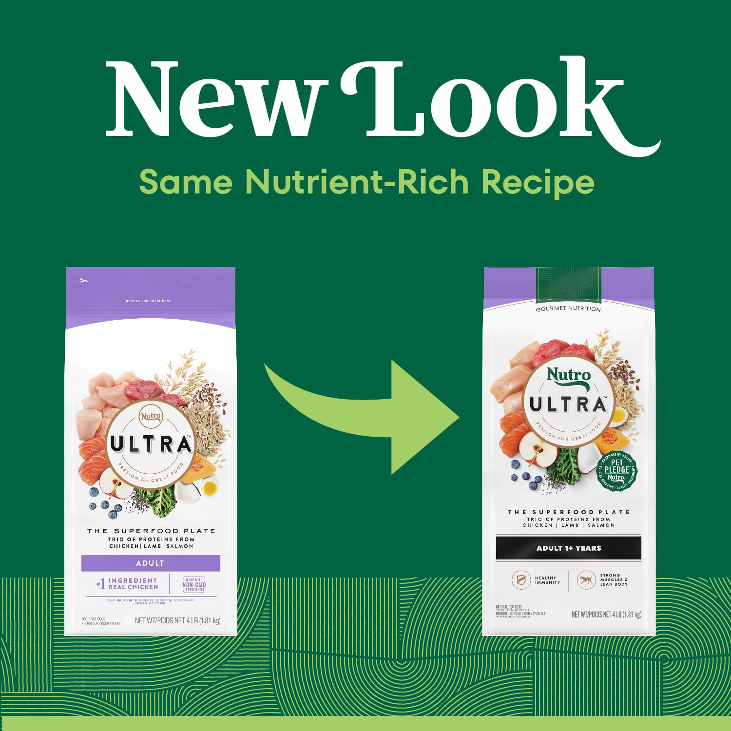 Nutro Ultra Dry Dog Food chicken-lamb-salmon ingredients in focus for premium protein.