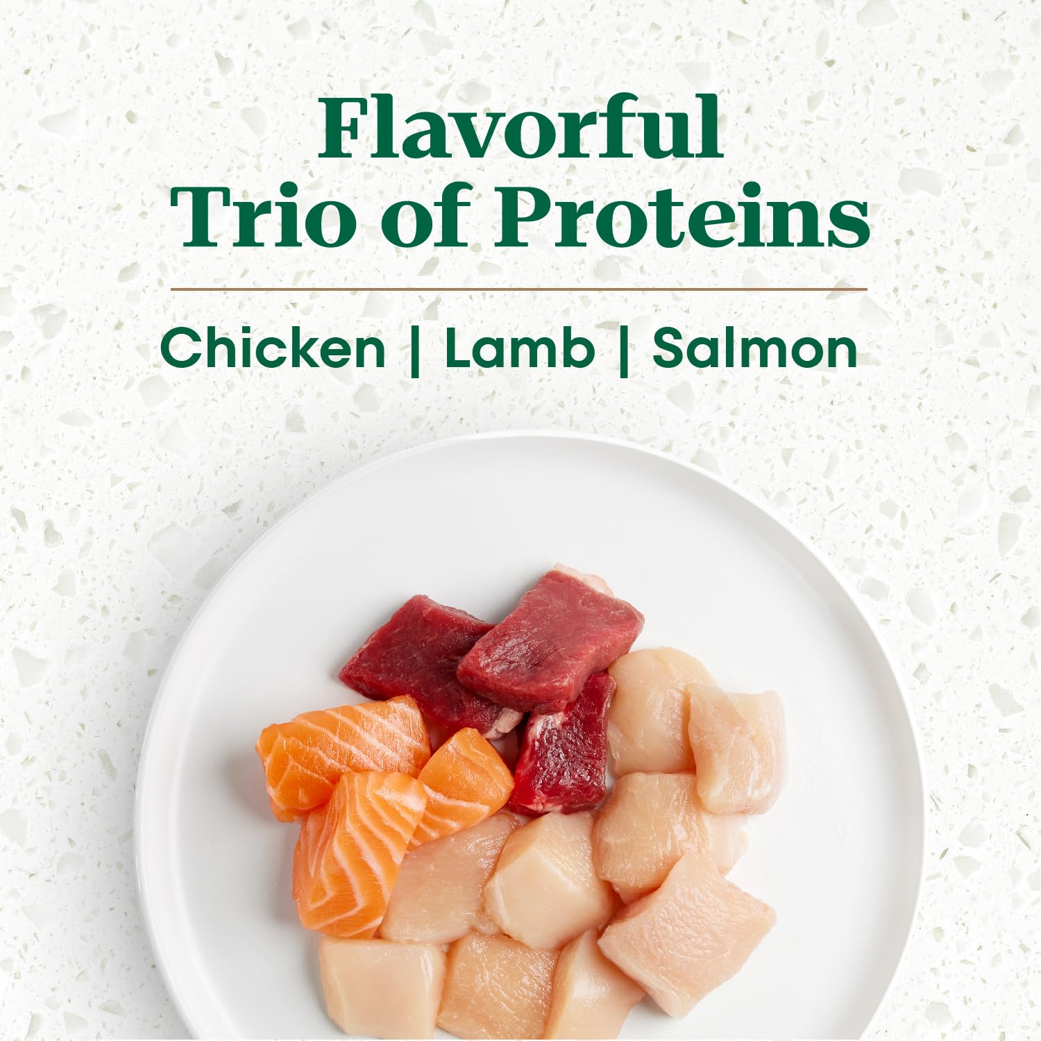 Nutro Ultra High Protein Puppy Food real chicken ingredient highlight boosts appetite and nutrition