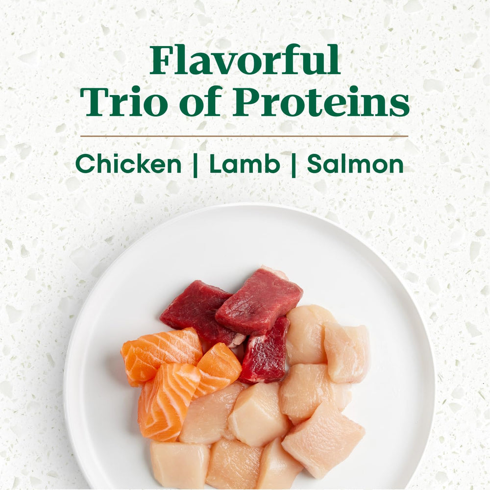Nutro Ultra High Protein Puppy Food real chicken ingredient highlight boosts appetite and nutrition