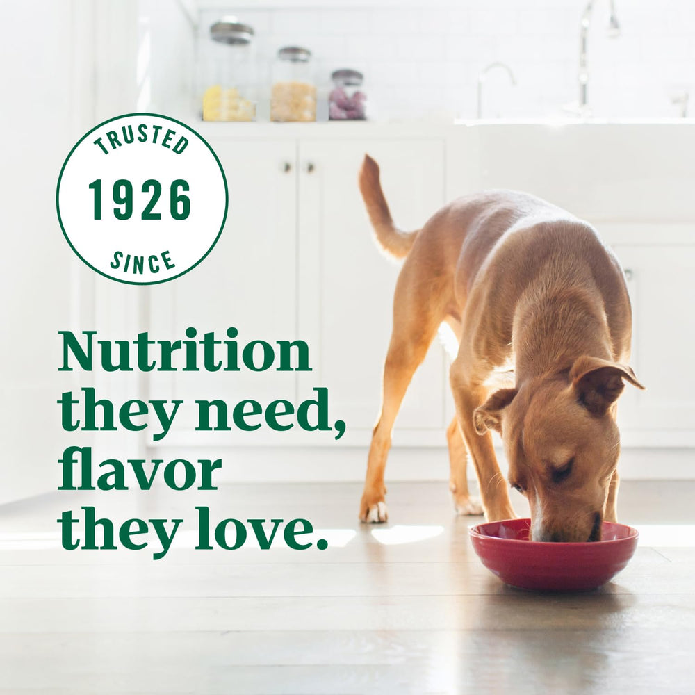 Nutro Ultra Large Breed dog enjoying meal demonstrates palatability and satisfaction.