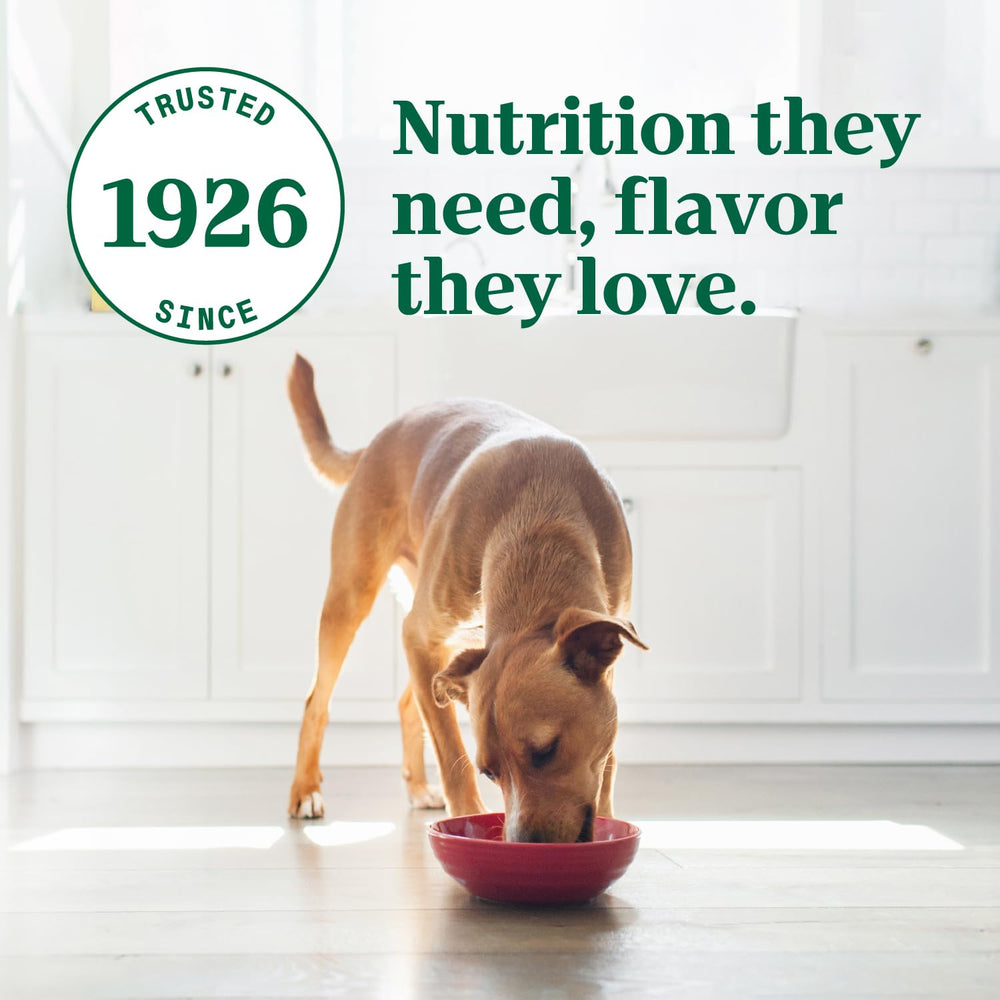 Nutro Ultra Senior Wet Dog Food 24-pack tray assortment for households.