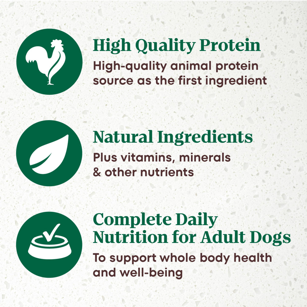 Nutro Ultra Senior Wet Dog Food pate tray with serving bowl for aging dogs meals.