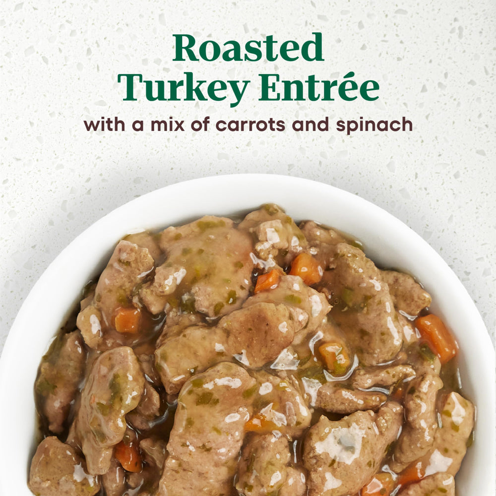 Nutro Ultra Roasted Turkey Entree filets in gravy close-up