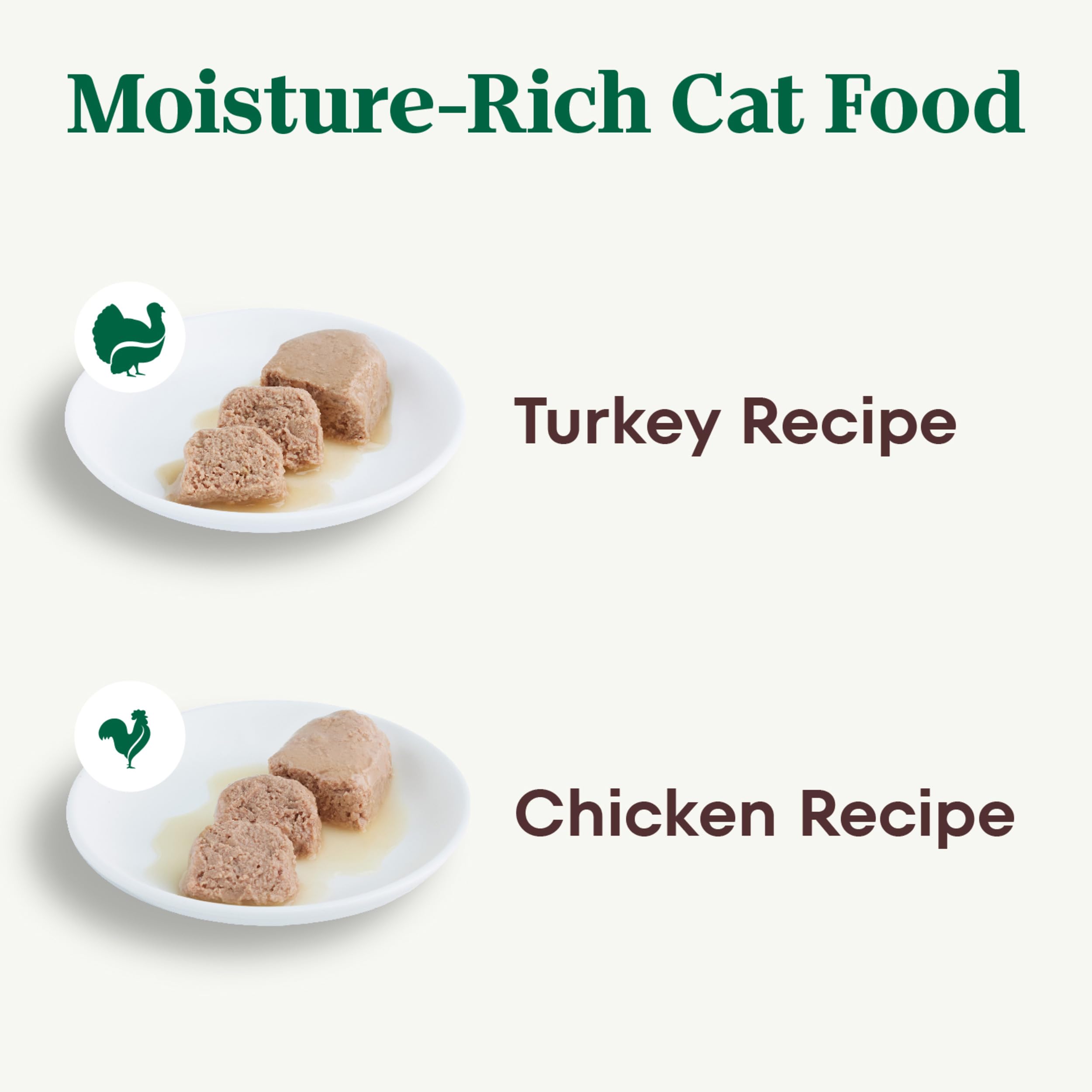 Nutro Wet Cat Food Pate Turkey Recipe Tray closeup showing glossy texture