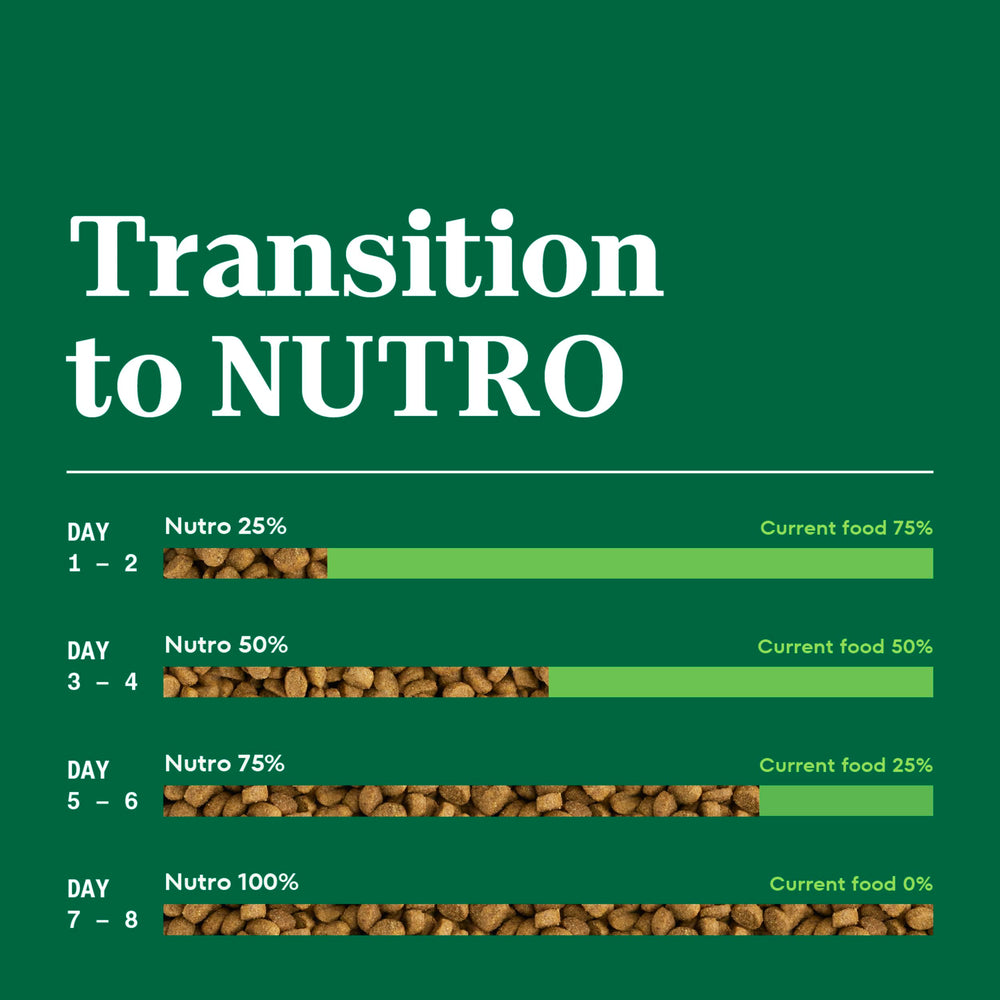 Nutro Wholesome Essentials 14-pound bag for everyday feeding.