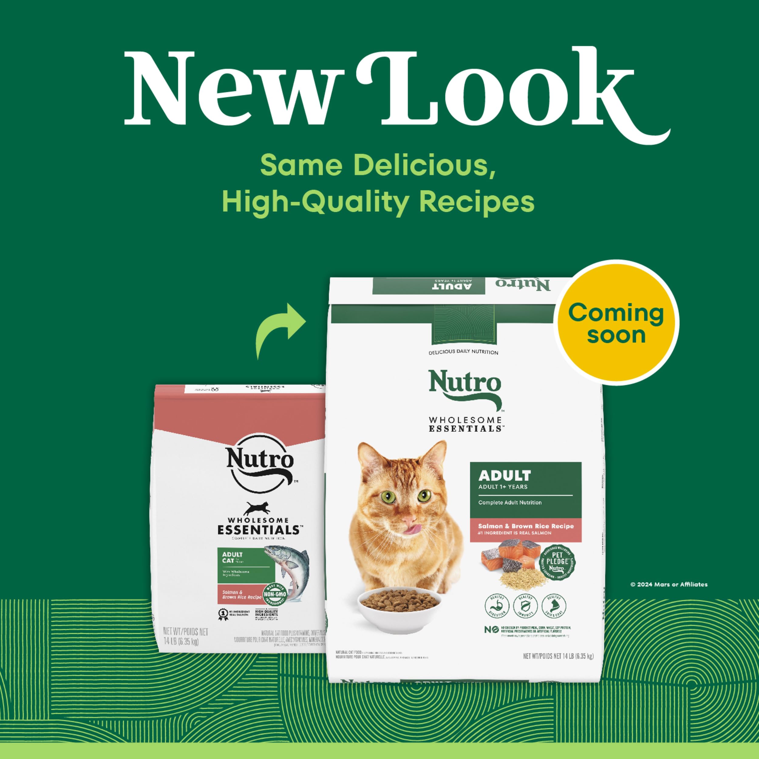 Nutro Wholesome Essentials adult cat kibble in bowl with crunchy texture.
