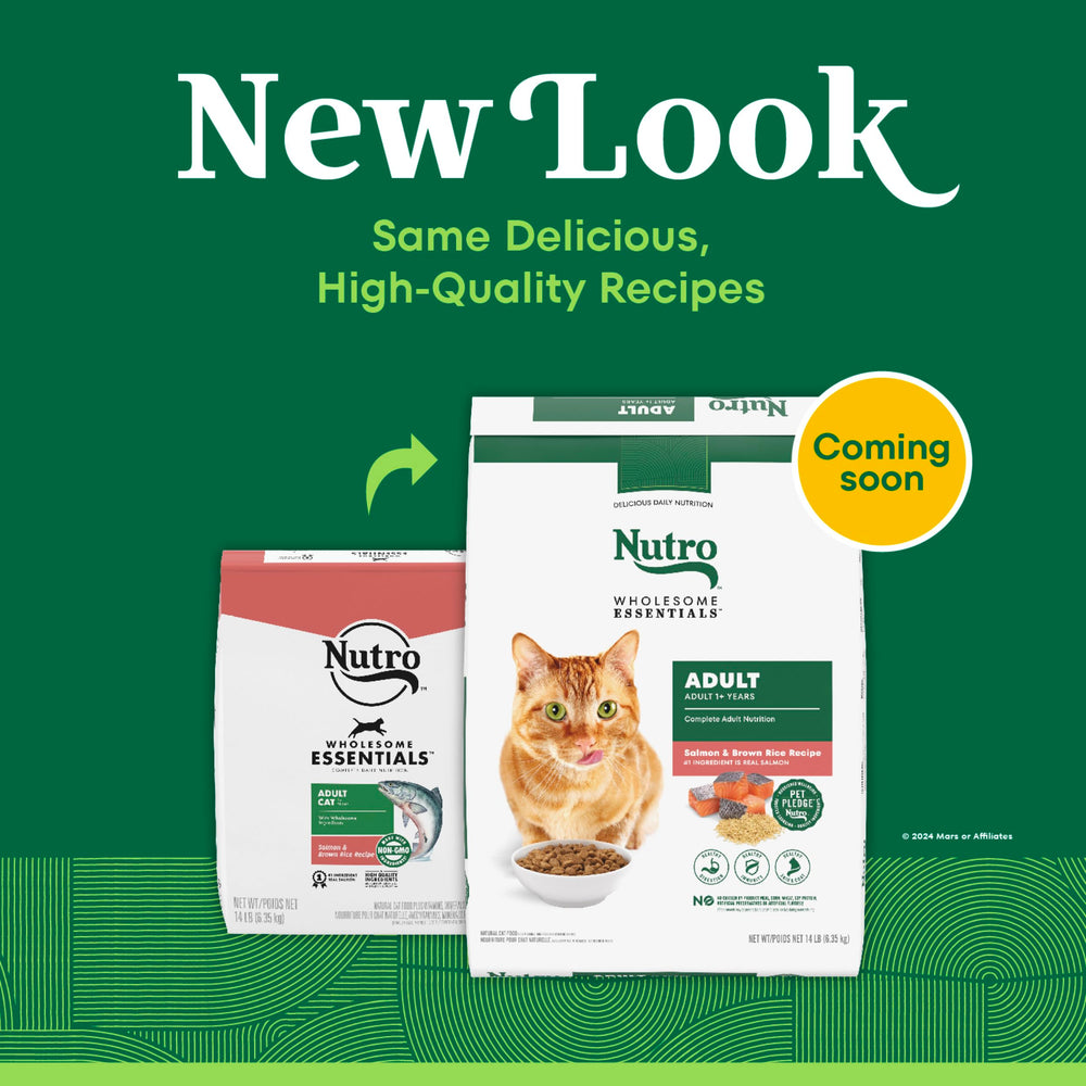 Nutro Wholesome Essentials adult cat kibble in bowl with crunchy texture.