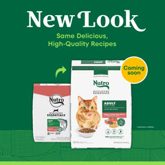 Nutro Wholesome Essentials adult cat kibble in bowl with crunchy texture.